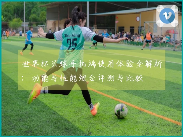 世界杯买球手机端使用体验全解析：功能与性能综合评测与比较