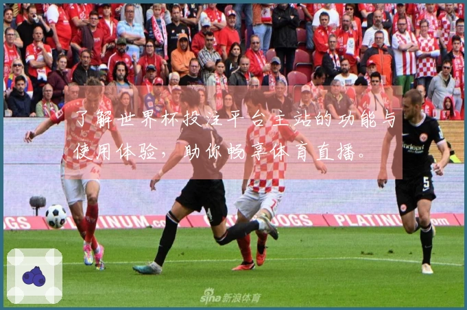 了解世界杯投注平台主站的功能与使用体验,助你畅享体育直播。